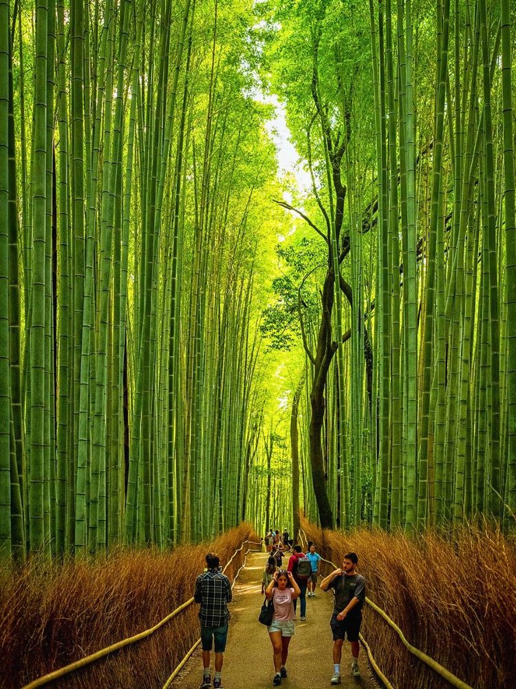 Kyoto